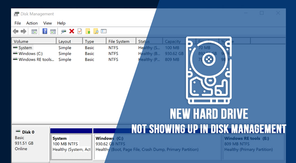 hard drive not showing up in disk management