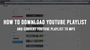 youtube download playlist mp4