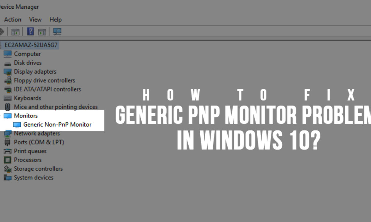 generic pnp monitor vs generic non-pnp