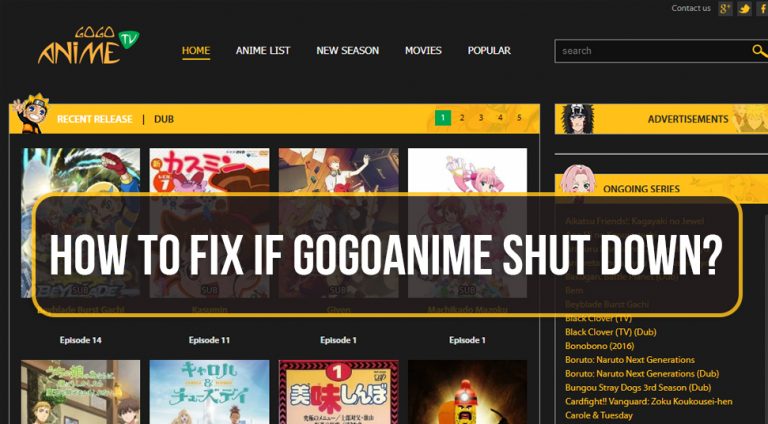 How To Fix If Gogoanime Shut Down 768x424 