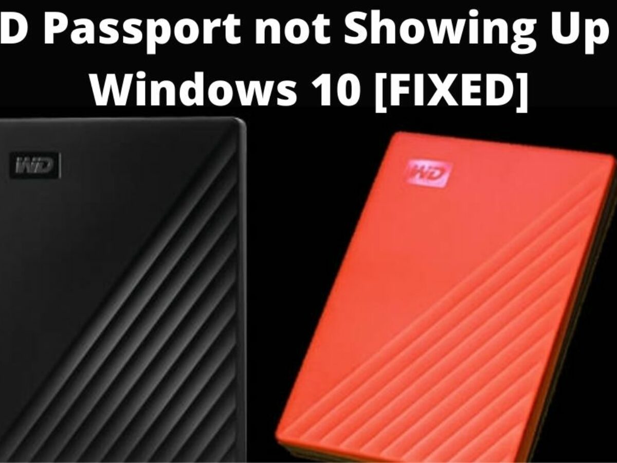 my passport external hard drive not showing up windows 10