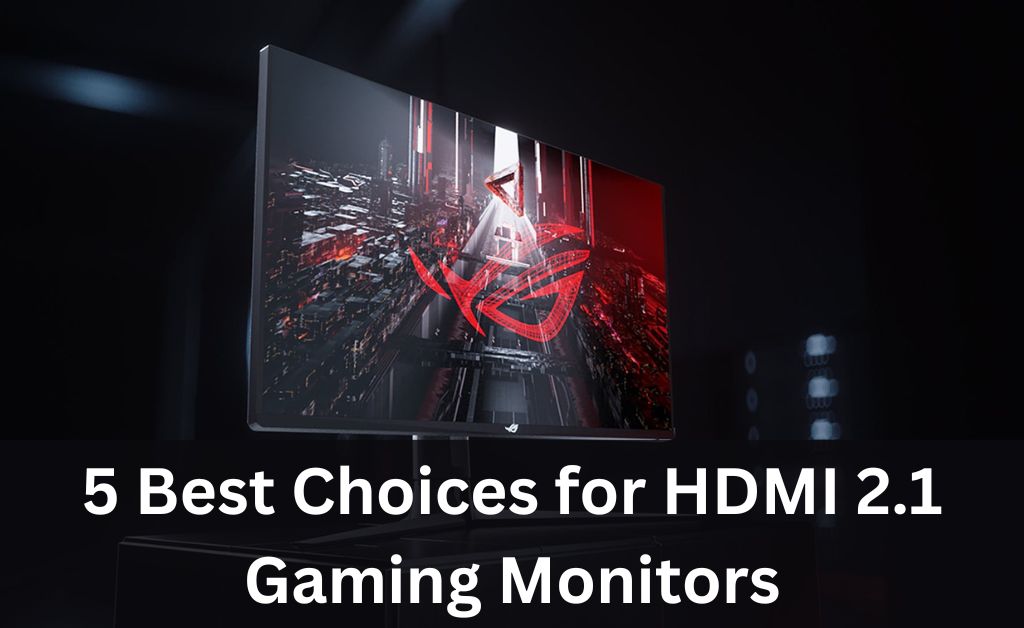 hdmi 2.1 gaming monitors